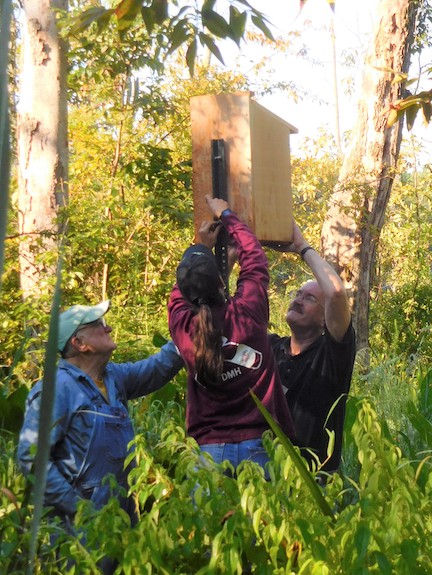 Creek Access Improvement | Friends of Little Hunting Creek