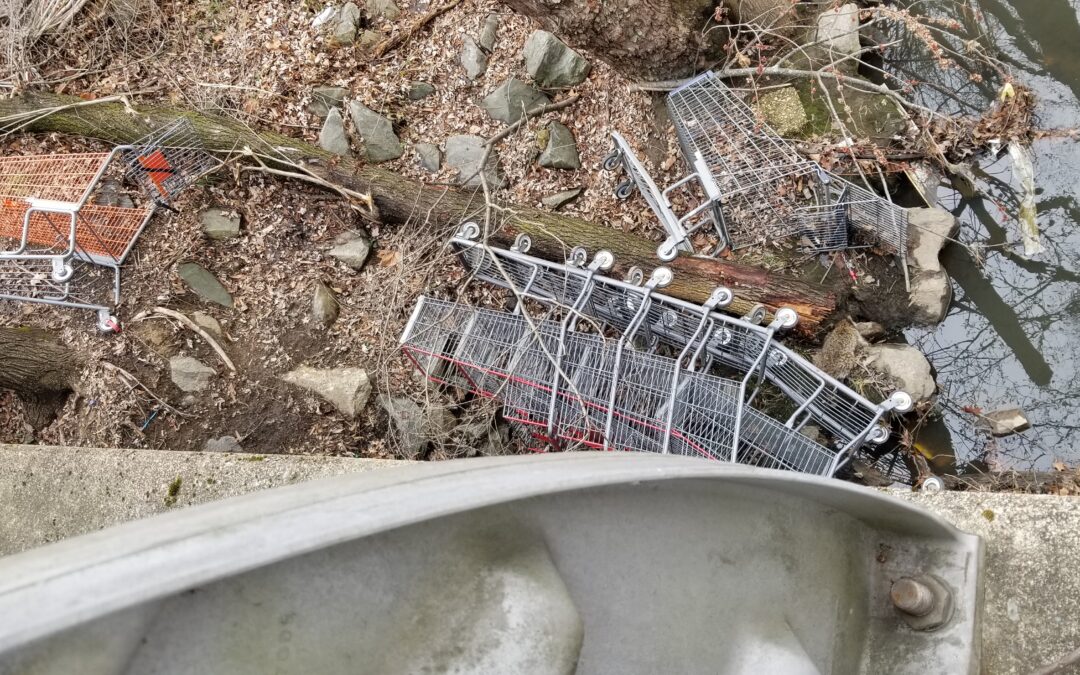Still a shopping cart graveyard
